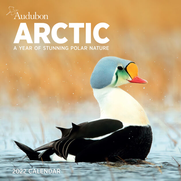 Audubon Arctic Calendar