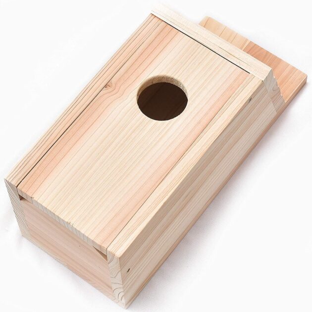 Audubon DIY Bluebird House Kit