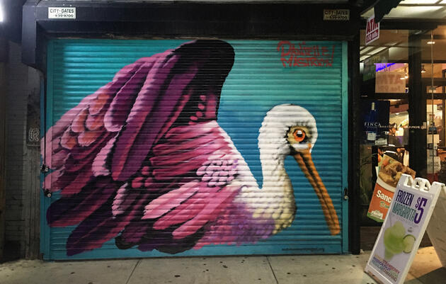Audubon Mural