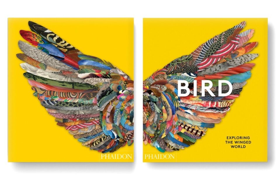 Bird: Exploring the Winged World