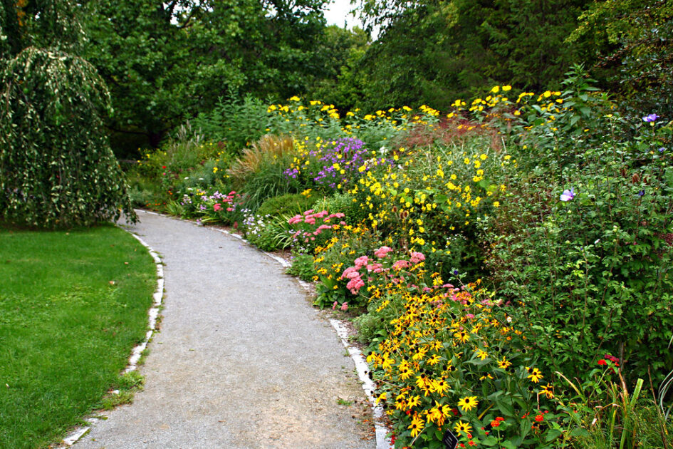 Garden Borders; Backyard Landscaping Ideas