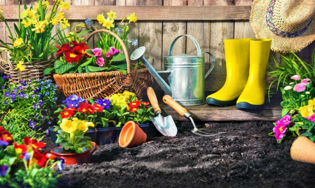 Shade Loving Flowers and Plants: A Guide to the Best Ones for Your Garden or Yard Shade Loving Flowers: A Guide to the Best Ones for Your Garden