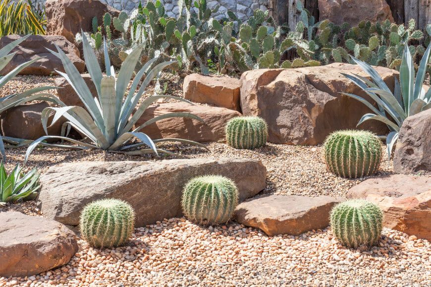 46 Modern & Small Corner Rock Garden Ideas: How to Create a Beautiful and Functional Space Cactus Rock Garden