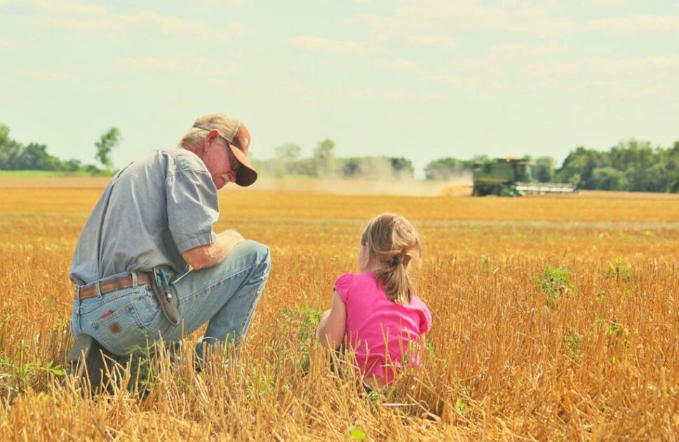 27 Herb Garden Ideas for Every Space: Indoor, Outdoor, and Patio Ideas Harvest often