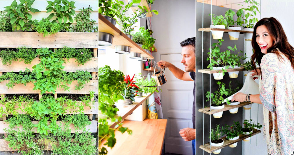 27 Herb Garden Ideas for Every Space: Indoor, Outdoor, and Patio Ideas Herb Garden Ideas for Every Space Indoor, Outdoor, and Patio Ideas