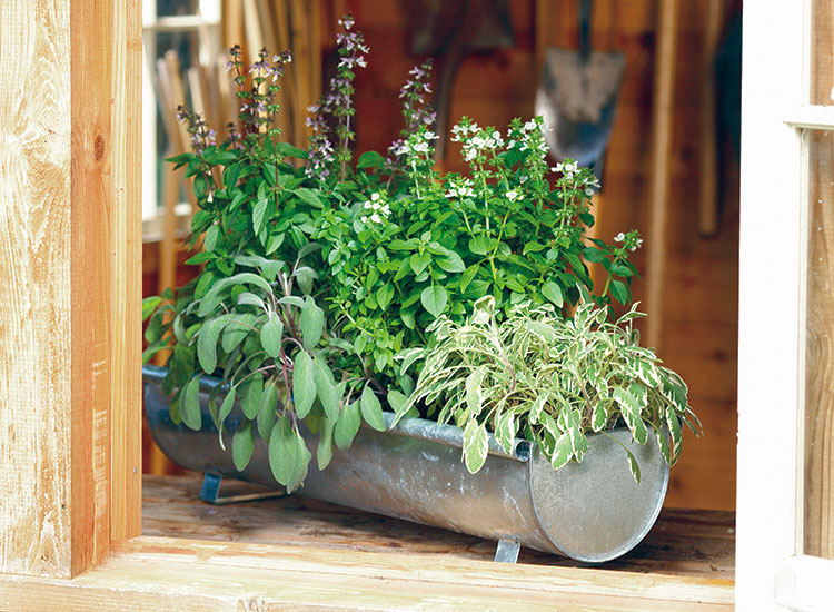 27 Herb Garden Ideas for Every Space: Indoor, Outdoor, and Patio Ideas Herb Garden Pot Ideas