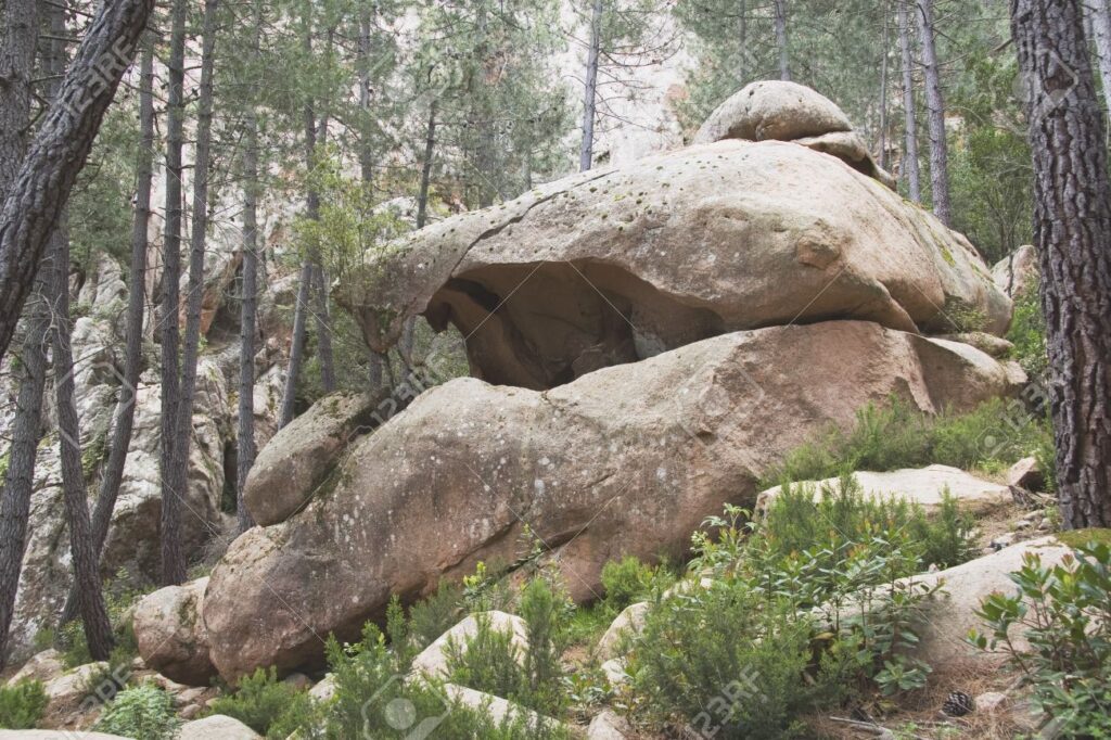 46 Modern & Small Corner Rock Garden Ideas: How to Create a Beautiful and Functional Space Rock Boulder Formation