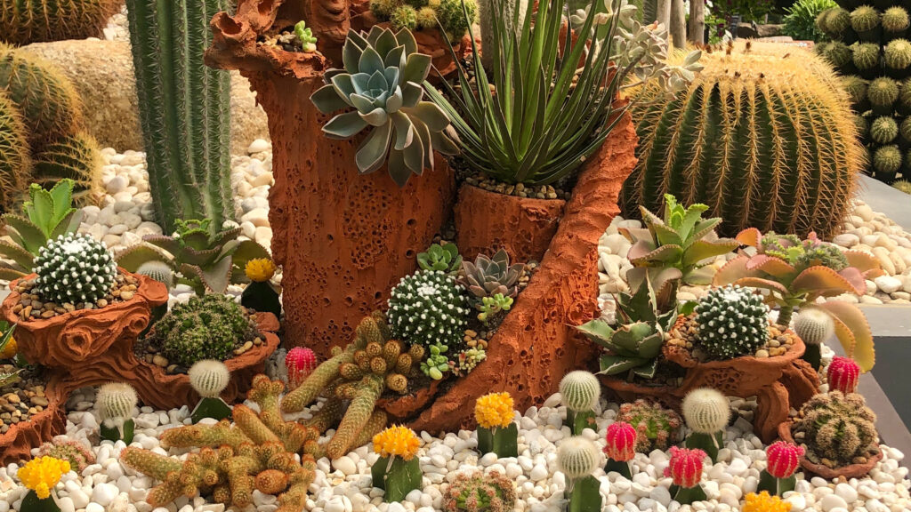 46 Modern & Small Corner Rock Garden Ideas: How to Create a Beautiful and Functional Space Rock Garden with Cactus Plants