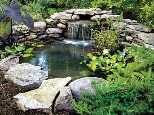 46 Modern & Small Corner Rock Garden Ideas: How to Create a Beautiful and Functional Space Rock Pond
