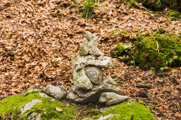 46 Modern & Small Corner Rock Garden Ideas: How to Create a Beautiful and Functional Space Stones in Equilibrium