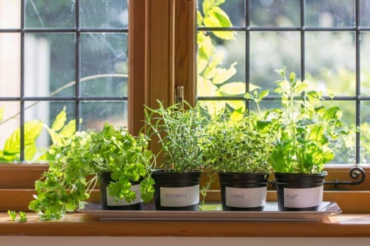 27 Herb Garden Ideas for Every Space: Indoor, Outdoor, and Patio Ideas windowsill garden