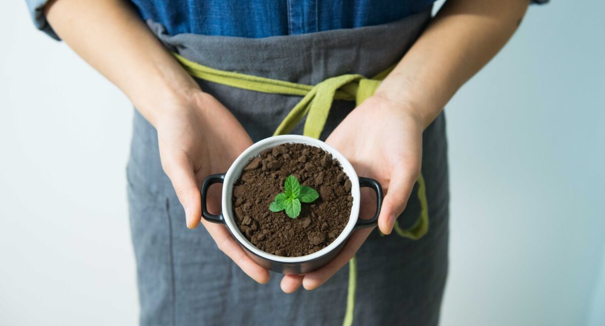 How to Revive Your Mint Plant: 5 Tips for Bringing It Back to Life person holding cup with green plant; How to Revive Your Mint Plant