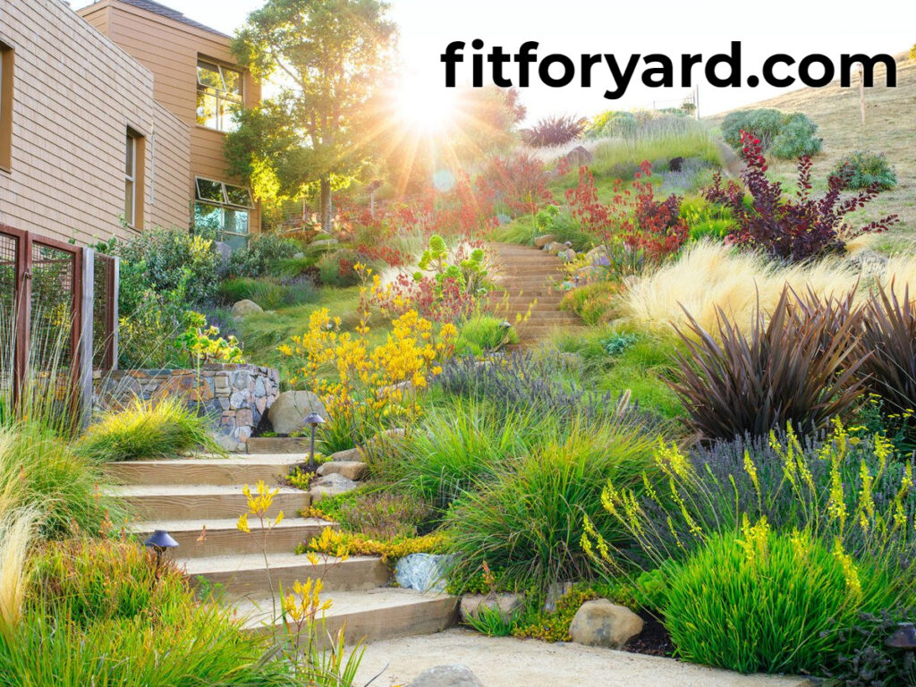 Drought-Resistant Plants for a Low-Maintenance Garden Yard Drought-Resistant Plants for a Low-Maintenance Garden Yard