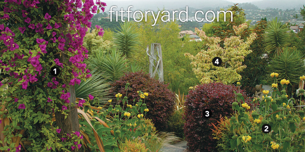 Drought-Resistant Plants: Small Yard Gardens' Saving Grace Drought-Resistant Plants: Small Yard Gardens' Saving Grace