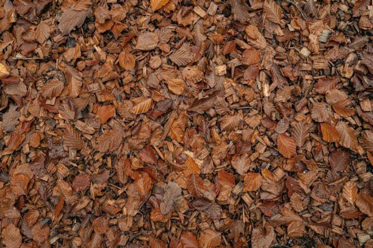 Cedar Mulch: Benefits, Uses, and Complete Guide for Your Garden