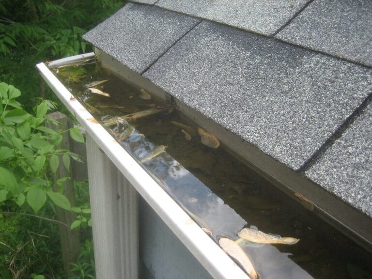 Gutter clog standing water in gutters