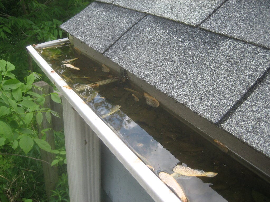 Gutter clog standing water in gutters