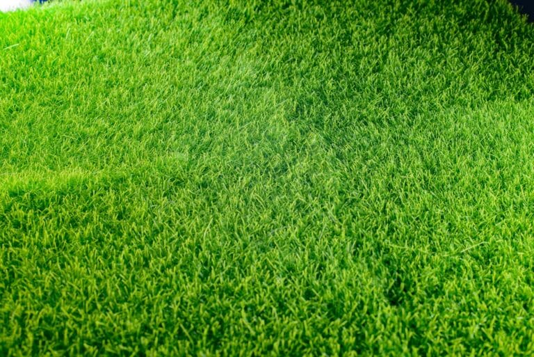 How often can I apply sulfur to my lawn? How often can I apply sulfur to my lawn?