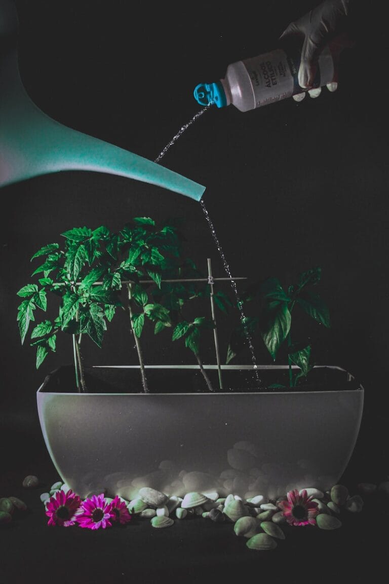 Is Bong Water Good For Plants? Can Bong Water Really Help Your Plants Grow?