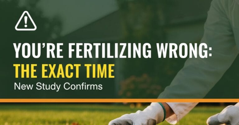 You’re Fertilizing Wrong New Study Confirms The Exact Time to Feed Grass.