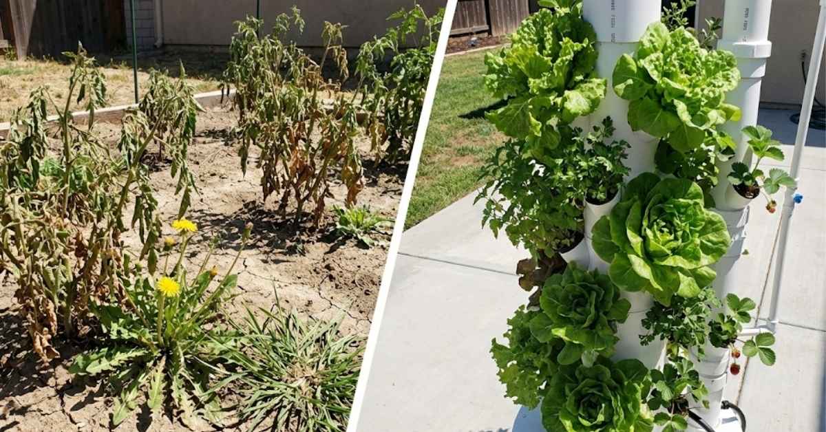 The Hydroponic Tower Bible: Build, Buy, and Grow Your Way to Food Freedom