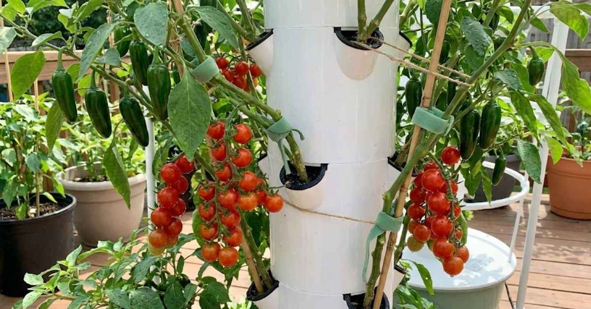 The Hydroponic Tower Bible: Build, Buy, and Grow Your Way to Food Freedom