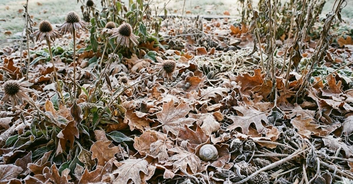 Your Clean Yard is a Death Trap: Build This "Ugly" Winter Bunker Instead Your Clean Yard is a Death Trap: Build This "Ugly" Winter Bunker Instead