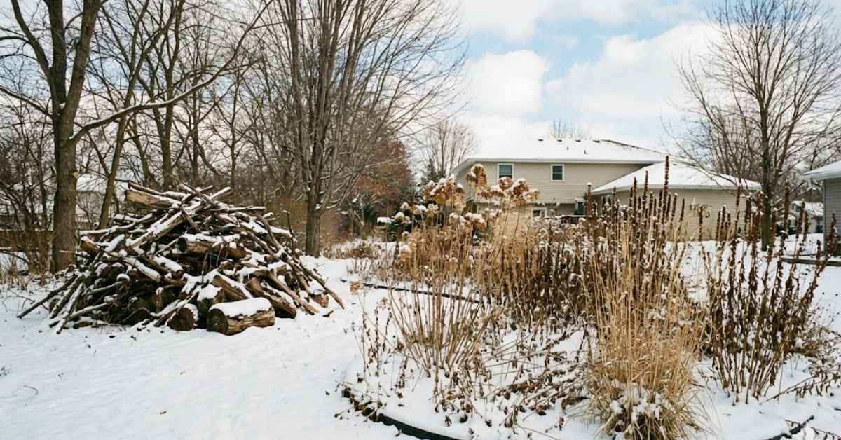 Your Clean Yard is a Death Trap: Build This "Ugly" Winter Bunker Instead Your Clean Yard is a Death Trap: Build This "Ugly" Winter Bunker Instead